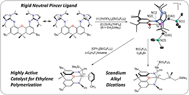 Graphical abstract: Rare earth dialkyl cations and monoalkyl dications supported by a rigid neutral pincer ligand: synthesis and ethylene polymerization