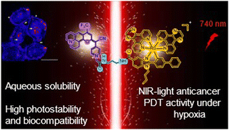 Graphical abstract: A near-infrared light-activatable Ru(ii)-coumarin photosensitizer active under hypoxic conditions