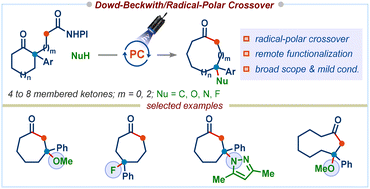 Graphical abstract: Photocatalyzed Dowd–Beckwith radical-polar crossover reaction for the synthesis of medium-sized carbocyclic compounds