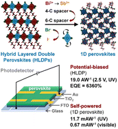 Graphical abstract: Transition from Dion–Jacobson hybrid layered double perovskites to 1D perovskites for ultraviolet to visible photodetection