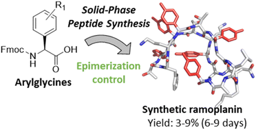Graphical abstract: Synthetic ramoplanin analogues are accessible by effective incorporation of arylglycines in solid-phase peptide synthesis