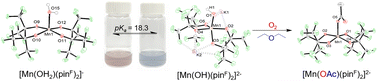 Graphical abstract: HAA by the first {Mn(iii)OH} complex with all O-donor ligands