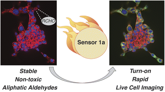 Graphical abstract: Chemical sensors for imaging total cellular aliphatic aldehydes in live cells
