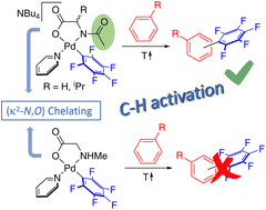 Graphical abstract: Palladium mono-N-protected amino acid complexes: experimental validation of the ligand cooperation model in C–H activation