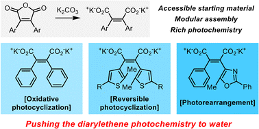 Graphical abstract: 2,3-Diarylmaleate salts as a versatile class of diarylethenes with a full spectrum of photoactivity in water