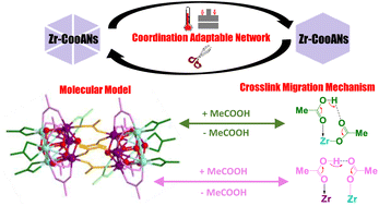 Graphical abstract: Acetate exchange mechanism on a Zr12 oxo hydroxo cluster: relevance for reshaping Zr–carboxylate coordination adaptable networks