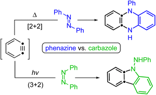 Graphical abstract: The contrasting reactivity of trans- vs. cis-azobenzenes (ArN [[double bond, length as m-dash]] NAr) with benzynes