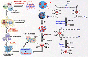 Graphical abstract: In situ oxidative polymerization of platinum(iv) prodrugs in pore-confined spaces of CaCO3 nanoparticles for cancer chemoimmunotherapy