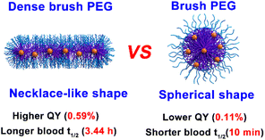 Graphical abstract: Controlling NIR-II emitting gold organic/inorganic nanohybrids with tunable morphology and surface PEG density for dynamic visualization of vascular dysfunction