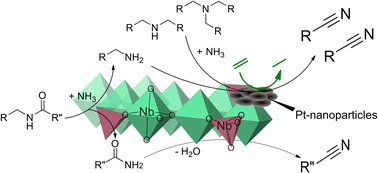 Graphical abstract: Ammonolytic transfer dehydrogenation of amines and amides: a versatile method to valorize nitrogen compounds to nitriles