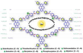 Graphical abstract: A π-conjugated covalent organic framework enables interlocked nickel/photoredox catalysis for light-harvesting cross-coupling reactions