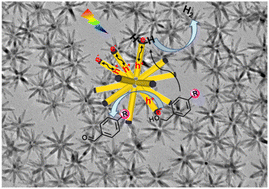 Graphical abstract: Versatile synthesis of nano-icosapods via cation exchange for effective photocatalytic conversion of biomass-relevant alcohols