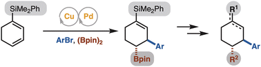 Graphical abstract: Cu/Pd-catalyzed arylboration of a 1-silyl-1,3-cyclohexadiene for stereocontrolled and diverse cyclohexane/ene synthesis