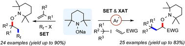 Graphical abstract: 1,2-Aminoxyalkylation of alkenes with alkyl iodides and TEMPONa through SET- and XAT-processes