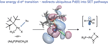 Graphical abstract: Visible light-induced palladium–carbon bond weakening in catalytically relevant T-shaped complexes