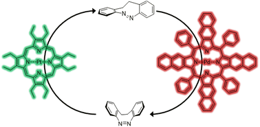 Graphical abstract: Triplet sensitization enables bidirectional isomerization of diazocine with 130 nm redshift in excitation wavelengths