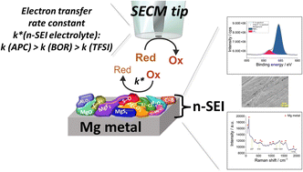 Graphical abstract: Unveiling the electronic properties of native solid electrolyte interphase layers on Mg metal electrodes using local electrochemistry