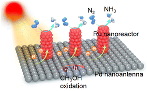 Graphical abstract: A Pd-based plasmonic photocatalyst for nitrogen fixation through an antenna–reactor mechanism