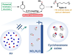 Graphical abstract: Integration of plasma and electrocatalysis to synthesize cyclohexanone oxime under ambient conditions using air as a nitrogen source