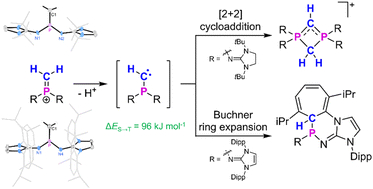 Graphical abstract: Terminal methylene phosphonium ions: precursors for transient monosubstituted phosphinocarbenes