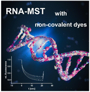 Graphical abstract: Non-covalent dyes in microscale thermophoresis for studying RNA ligand interactions and modifications