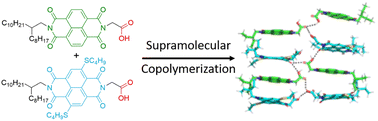 Graphical abstract: Supramolecular alternating copolymers with highly efficient fluorescence resonance energy transfer