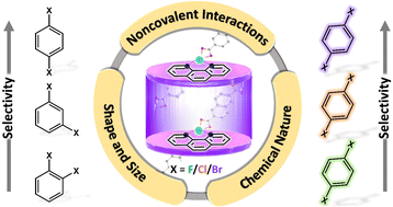 Graphical abstract: Noncovalent interaction guided selectivity of haloaromatic isomers in a flexible porous coordination polymer