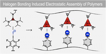 Graphical abstract: Exploring the supramolecular chemistry of cyclopropeniums: halogen-bonding-induced electrostatic assembly of polymers