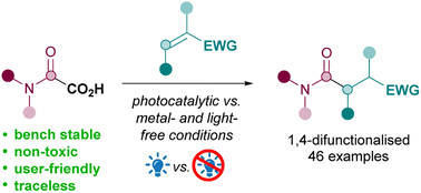 Graphical abstract: Direct decarboxylative Giese amidations: photocatalytic vs. metal- and light-free