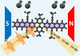 Graphical abstract: Multiexciton quintet state populations in a rigid pyrene-bridged parallel tetracene dimer