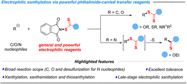 Graphical abstract: Synthetic exploration of electrophilic xanthylation via powerful N-xanthylphthalimides