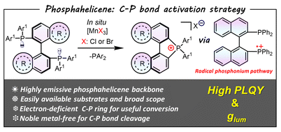 Graphical abstract: Mn(iii)-mediated C–P bond activation of diphosphines: toward a highly emissive phosphahelicene cation scaffold and modulated circularly polarized luminescence