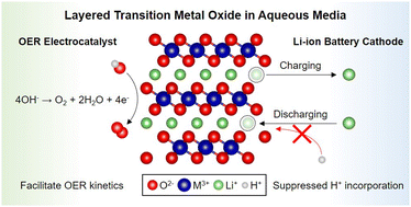 Graphical abstract: Layered transition metal oxides (LTMO) for oxygen evolution reactions and aqueous Li-ion batteries