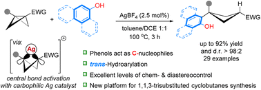 Graphical abstract: C(sp2)–H cyclobutylation of hydroxyarenes enabled by silver-π-acid catalysis: diastereocontrolled synthesis of 1,3-difunctionalized cyclobutanes