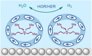 Graphical abstract: Action at a distance: organic cation induced long range organization of interfacial water enhances hydrogen evolution and oxidation kinetics