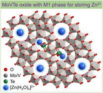 Graphical abstract: Atomic scale analysis of Zn2+ storage in robust tunnel frameworks