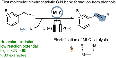 Graphical abstract: Merging electrocatalytic alcohol oxidation with C–N bond formation by electrifying metal–ligand cooperative catalysts