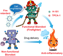 Graphical abstract: A living neutrophil Biorobot synergistically blocks multifaceted inflammatory pathways in macrophages to effectively neutralize cytokine storm