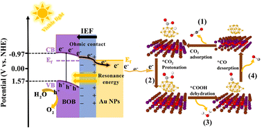 Graphical abstract: Synergistic coupling of interface ohmic contact and LSPR effects over Au/Bi24O31Br10 nanosheets for visible-light-driven photocatalytic CO2 reduction to CO