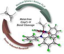 Graphical abstract: Reversible C–H bond silylation with a neutral silicon Lewis acid