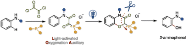 Graphical abstract: Biomimetic design of an α-ketoacylphosphonium-based light-activated oxygenation auxiliary