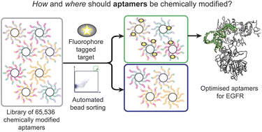 Graphical abstract: Selection of optimised ligands by fluorescence-activated bead sorting