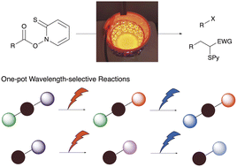 Graphical abstract: Red-light-mediated Barton decarboxylation reaction and one-pot wavelength-selective transformations