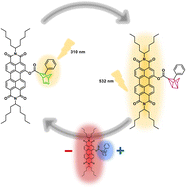 Graphical abstract: Driving the quadricyclane-to-norbornadiene isomerization by charge separation with perylenediimide as electron acceptor