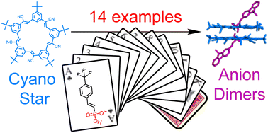 Graphical abstract: A library of vinyl phosphonate anions dimerize with cyanostars, form supramolecular polymers and undergo statistical sorting