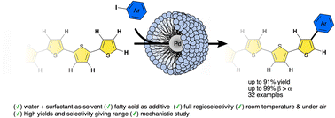 Graphical abstract: Micellar catalysis: a green solution to enable undirected and mild C–H activation of (oligo)thiophenes at the challenging β-position