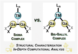Graphical abstract: On the σ-complex character of bis(gallyl)/digallane transition metal species