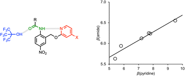 Graphical abstract: Polarisation effects on the H-bond acceptor properties of secondary amides