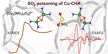 Graphical abstract: Elucidating the reaction mechanism of SO2 with Cu-CHA catalysts for NH3-SCR by X-ray absorption spectroscopy