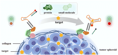 Graphical abstract: A collagen-immobilized nanodevice for in situ ratiometric imaging of cancer biomarkers in the tumor microenvironment